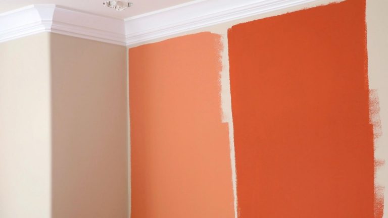 feature wall colour selection