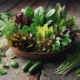 Summer Salad: Your Guide to a Fresh and Vibrant Season
