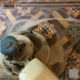 Victorian Hallway Tiles Cleaning: Timeless Care for Floors