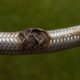 Burst Pipes and Flexi Hoses: Essential Emergency Plumber Tips
