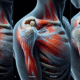 Acupuncture for Effective Frozen Shoulder Relief Techniques