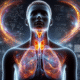 Thyroid Blood Test Guide for Optimal Health in Grimsby
