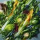 Fresh and Tasty Salad Recipes for Delightful Meals