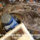 Victorian Tiles Restoration Guide: Step-by-Step Tips