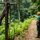 Zip Lining Adventures in Belize: Experience the Canopy Tours