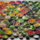 Essential Guide to Plant-Based Diets for Pets