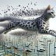Egyptian Mau Speed Training for Improved Agility