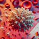 Ferritin Blood Test Guide for Residents of High Wycombe