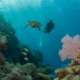 Belize Barrier Reef: Top Snorkelling and Diving Spot for 2025