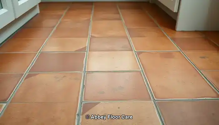Understanding What Causes Rapid Dirt Build-Up on Terracotta Floors