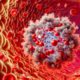 Ferritin Blood Test Guide for Health in Bootle Residents