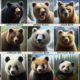 Essential Tips for Surviving a Bear Attack