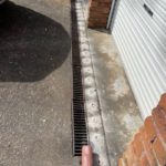 Termite Protection: Explore Coverage Options for Your Home