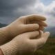 Cotton Gloves: Key Tips for Rotherham Buyers