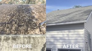 Discover the Advantages of Soft Washing for Complete Home Care