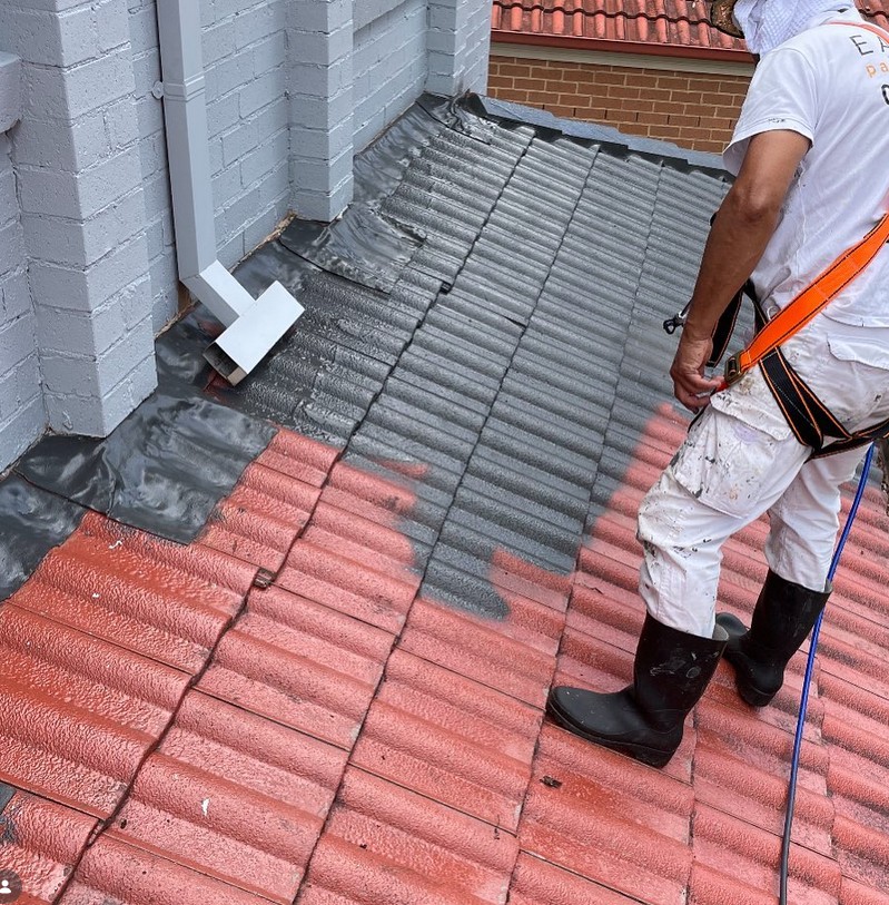Roof Painting Cost Uncovered in Sydney’s Hills District
