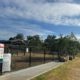 Tree Planting Event at Maitland’s Rutherford Dog Park