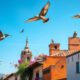 Bird Watching in San Miguel de Allende: Essential Tips for Enthusiasts