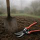 Garden Maintenance Tips for All Seasons in Martock