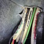 Managing Ants, Rats, and Mice: Electrical Faults in Homes
