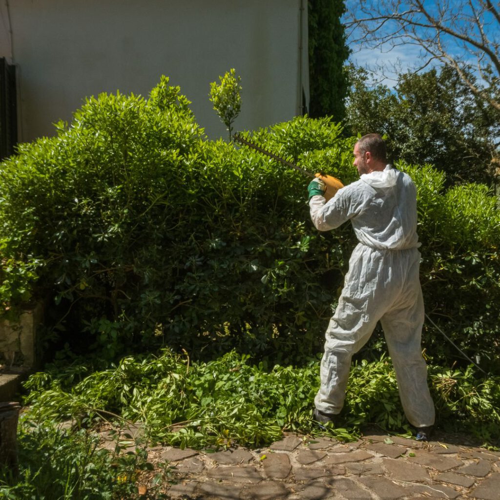 Green Waste Solutions: 4 Effective Ways to Dispose of Waste