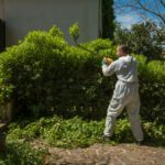Green Waste Solutions: 4 Effective Strategies for Disposal