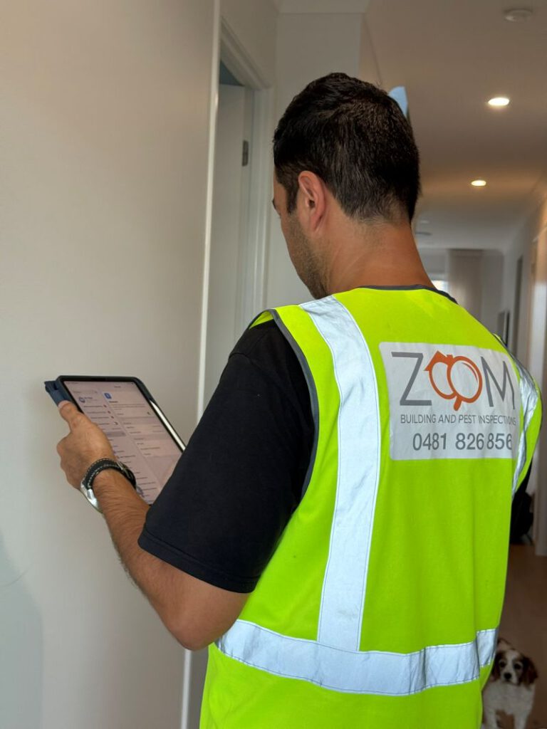 Building and Pest Inspection in Brisbane: How to Decide?